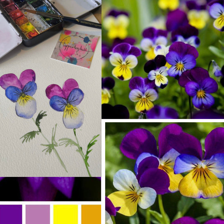 Ready to watch, recorded Spring flowers art tutorials series 2, 5 watercolour floral tutorials (anemones, grape hyacinth, mimosa, pansy and vase composition)
