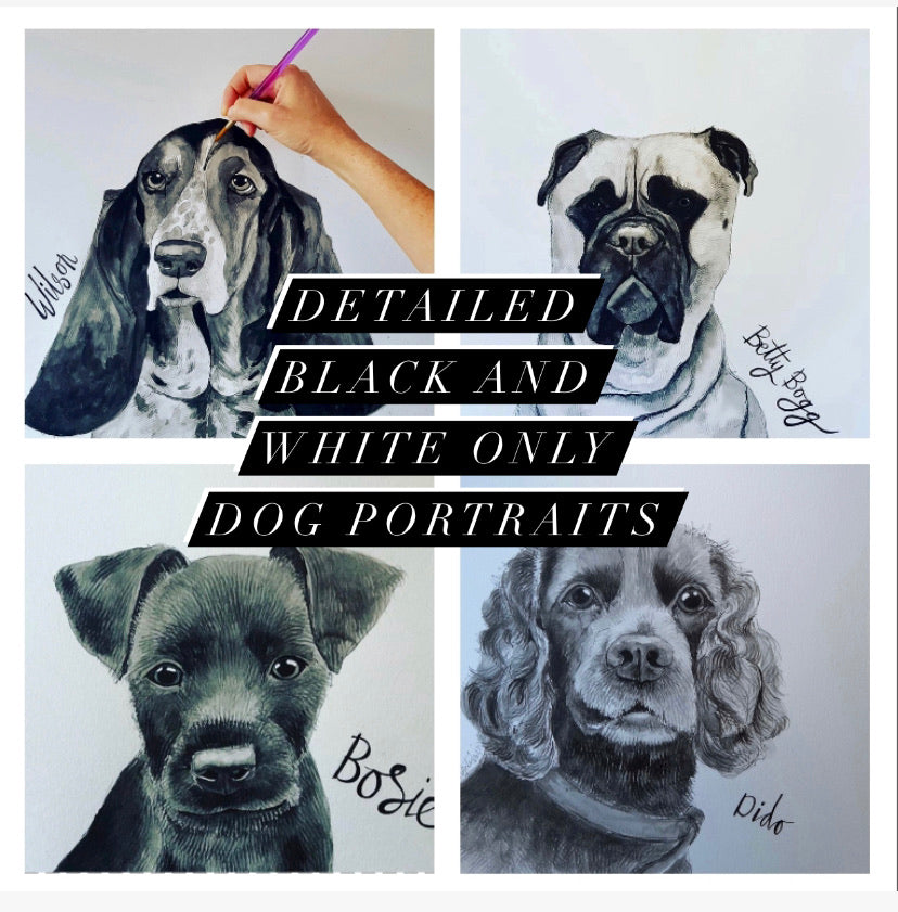 Pet portraits, detailed black and white dog portraits