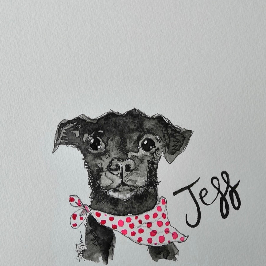 Pet portraits, mini black and white, sketchy dog