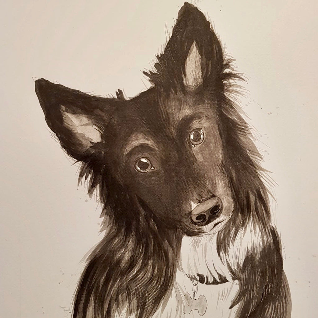 Pet portraits, detailed black and white dog portraits