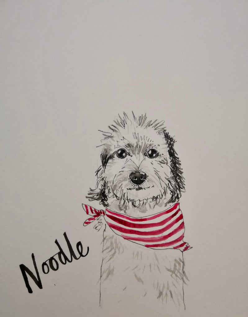 Pet portraits, mini black and white, sketchy dog